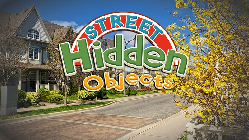 Street Hidden Objects game